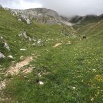 Dolomity