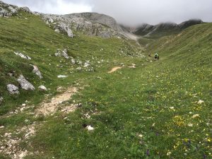 Dolomity
