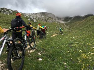 Dolomity