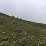 Dolomity