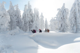 Turyści idący wśród zasp śniegu w pełnym słońcu