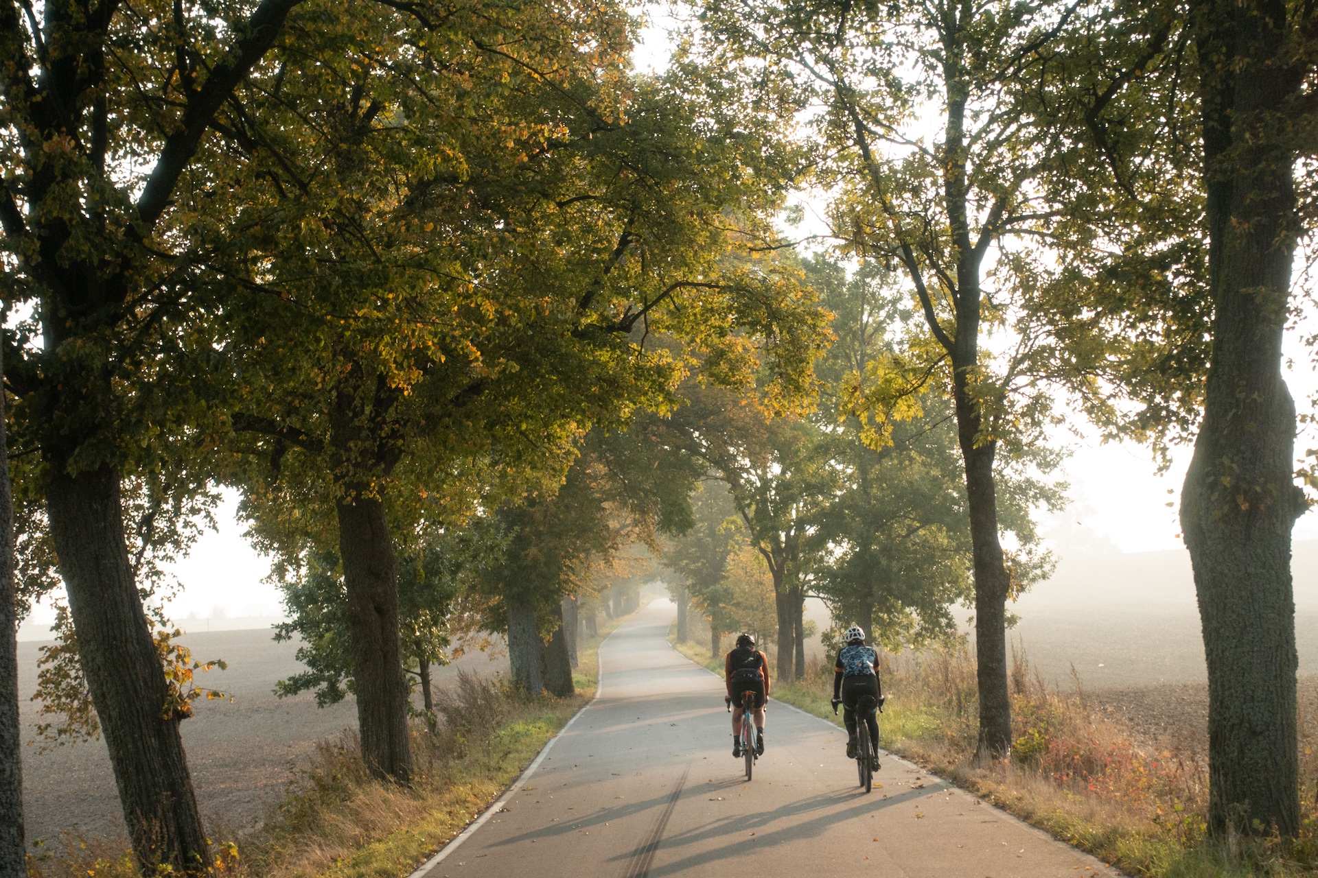 Bikepacking, dwóch kolarzy jadących drogą o wschodzie słońca